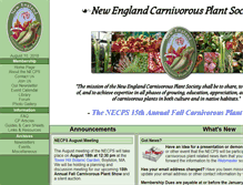 Tablet Screenshot of necps.org